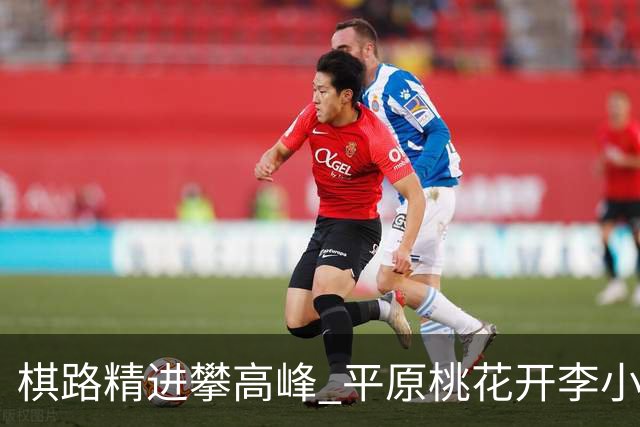 棋路精进攀高峰 平原桃花开李小溪荣升六段